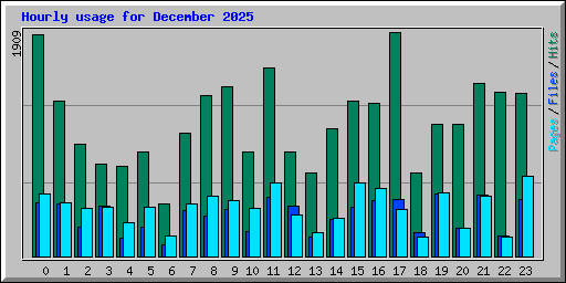 Hourly usage for December 2025